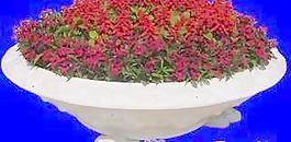 花壇102——植物素材