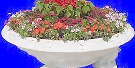 花壇100——植物素材