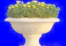 花壇043——植物素材