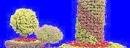 花壇034——植物素材