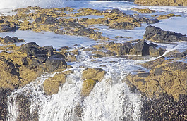 波浪對(duì)海岸