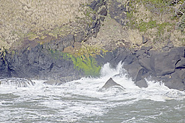 海岸波浪形的面積