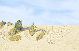 沙丘山谷
