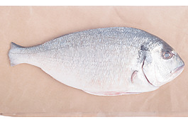 鲯鰍魚