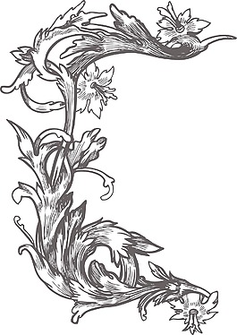 矢量花卉幀