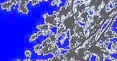 半棵及近景樹151、前景樹001——植物素材