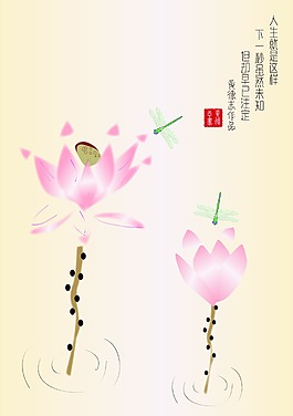 手绘荷花