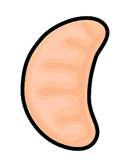 橙色糖果