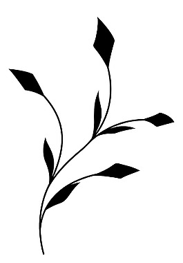 小枝黑蓬勃發(fā)展