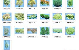 植物素材*