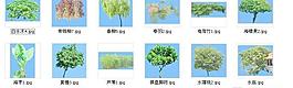 水邊植物素材
