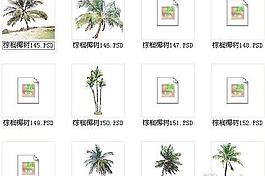 棕櫚椰樹素材十三