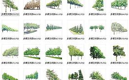 植物psd素材2