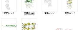 荷花素材一