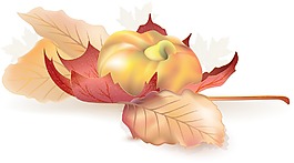 秋天的矢量元素