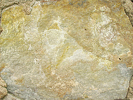 scaur_texture