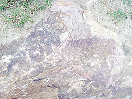 closeup_rock