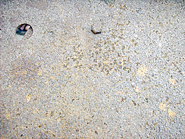 rusty_metal