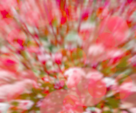 紅色的背景虛化