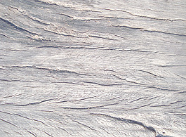 raw_wood