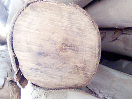 lumber_texture