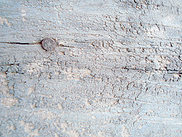 wood_backdrop