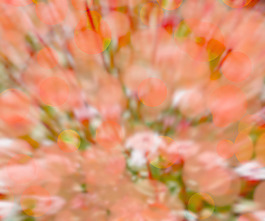 紅色的背景虛化