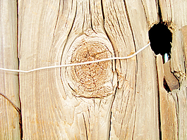 dried_wood
