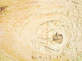 texture_wood