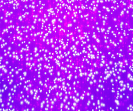 紫色的雪背景紋理