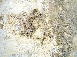 grunge_cemented_wall