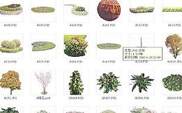PSD植物素材