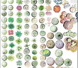 PS植物庫