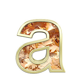 一個(gè)小寫(xiě)字母從秋天的金色字母集