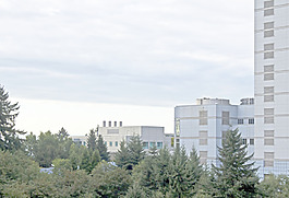 城市建筑258