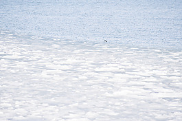 浮冰