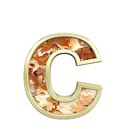 一個(gè)小寫(xiě)字母從秋天的金色字母集