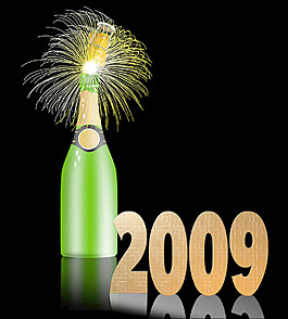 香檳瓶2009