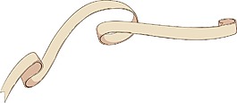 矢量元素