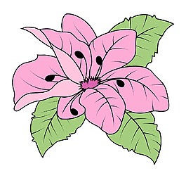 粉紅色的雛菊矢量插畫