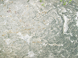 rock_surface
