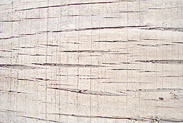 oak_wooden_texture