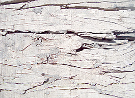 rough_wood_texture