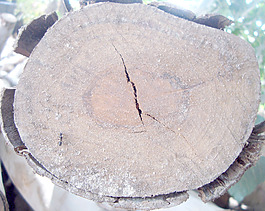 lumber_background