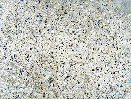 textured_floor