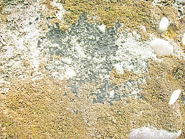 skin_texture