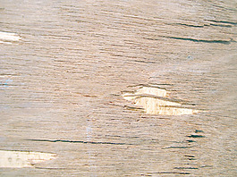 carpentry_texture