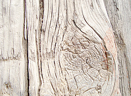 grunge_tree_knot