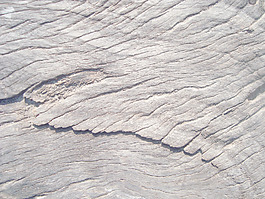 rough_wood