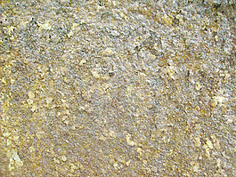 grunge_tree_bark